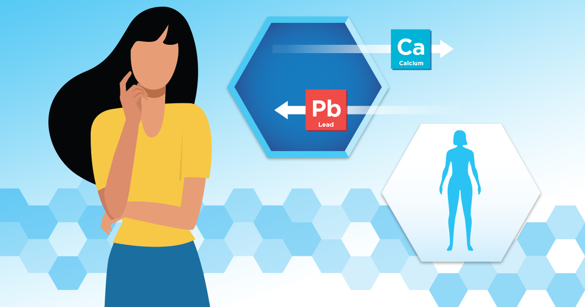 Illustration of a woman thinking beside graphics of lead (Pb) going in and calcium (Ca) coming out